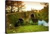 Spain, Galicia, an Old Bridge on the Camino Di Santiago-Ken Scicluna-Stretched Canvas