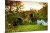 Spain, Galicia, an Old Bridge on the Camino Di Santiago-Ken Scicluna-Mounted Photographic Print