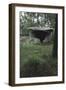 Spain, Galicia, Dolmen of Dombate-null-Framed Giclee Print