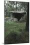 Spain, Galicia, Dolmen of Dombate-null-Mounted Giclee Print