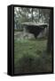Spain, Galicia, Dolmen of Dombate-null-Framed Stretched Canvas