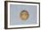 Spain, Gold Coin with Ferdinand and Isabella, Recto-null-Framed Giclee Print