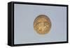 Spain, Gold Coin with Ferdinand and Isabella, Recto-null-Framed Stretched Canvas