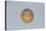 Spain, Gold Coin with Ferdinand and Isabella, Recto-null-Stretched Canvas