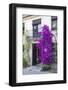 Spain, Granada. The entrance of Hotel America.-Julie Eggers-Framed Photographic Print