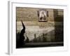 Spain Holy Week, Seville, Spain-Armando Franca-Framed Photographic Print