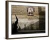 Spain Holy Week, Seville, Spain-Armando Franca-Framed Photographic Print