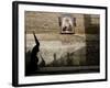 Spain Holy Week, Seville, Spain-Armando Franca-Framed Photographic Print