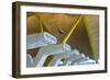 Spain, Madrid, Adolfo Suarez Madrid-Barajas Airport, International Terminal Architectural Detail-Walter Bibikow-Framed Photographic Print