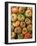 Spain, Madrid, Plaza De San Miguel, Mercado De San Miguel, Artisan Food Marketplace, Heirloom Tomat-Walter Bibikow-Framed Photographic Print