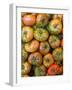 Spain, Madrid, Plaza De San Miguel, Mercado De San Miguel, Artisan Food Marketplace, Heirloom Tomat-Walter Bibikow-Framed Photographic Print