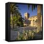 Spain, Majorca, Andratx, Castell De Son Mas, Palm-Rainer Mirau-Framed Stretched Canvas