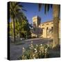 Spain, Majorca, Andratx, Castell De Son Mas, Palm-Rainer Mirau-Stretched Canvas