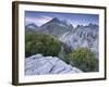 Spain, Majorca, Serra De Tramuntana, Puig Major, Puig De Ses Vinyes, Col De Cals Reis, Rock, Shrubs-Rainer Mirau-Framed Photographic Print