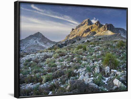 Spain, Majorca, Serra De Tramuntana, Puig Major, Puig De Ses Vinyes-Rainer Mirau-Framed Photographic Print