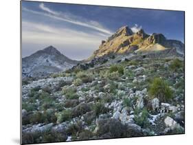 Spain, Majorca, Serra De Tramuntana, Puig Major, Puig De Ses Vinyes-Rainer Mirau-Mounted Photographic Print