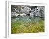 Spain, Majorca, Serra De Tramuntana, Sat. Calobra, Torrent De Par Ice, Water Water Basin, Algae-Rainer Mirau-Framed Photographic Print