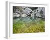 Spain, Majorca, Serra De Tramuntana, Sat. Calobra, Torrent De Par Ice, Water Water Basin, Algae-Rainer Mirau-Framed Photographic Print