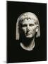 Spain, Merida, Veiled Head of the Emperor Augustus-null-Mounted Giclee Print