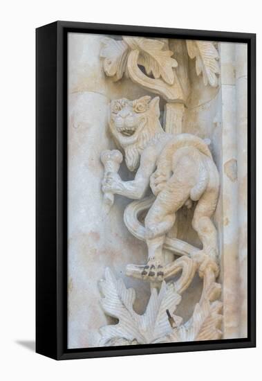Spain, Salamanca, Cathedral, Relief Sculpture of an Impish Beast-Jim Engelbrecht-Framed Stretched Canvas