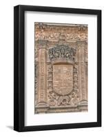 Spain, Salamanca, Detail of Relief Sculpture on Cathedral Exterior-Jim Engelbrecht-Framed Photographic Print