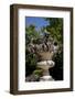 Spain, San Ildefonso, The Royal Palace of La Granja de San Ildefonso, Casa del Bosque, Vase-Samuel Magal-Framed Photographic Print