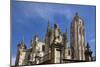 Spain, Segovia, Segovia Cathedral, Lion Statue-Samuel Magal-Mounted Photographic Print