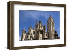 Spain, Segovia, Segovia Cathedral, Lion Statue-Samuel Magal-Framed Photographic Print