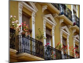 Spain, Sevilla, Andalucia Geraniums hang over iron balconies of traditional houses-Merrill Images-Mounted Premium Photographic Print