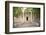 Spain, Seville, House of Pilate-null-Framed Photographic Print