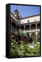 Spain, Toledo, Santa Cruz Museum, Cloister-Samuel Magal-Framed Stretched Canvas