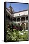 Spain, Toledo, Santa Cruz Museum, Cloister-Samuel Magal-Framed Stretched Canvas