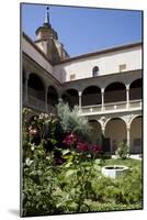 Spain, Toledo, Santa Cruz Museum, Cloister-Samuel Magal-Mounted Photographic Print