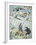 Spain, University of Salamanca, Chariot of Mercury and Virgo Fresco-null-Framed Giclee Print