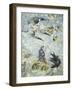 Spain, University of Salamanca, Chariot of Mercury and Virgo Fresco-null-Framed Giclee Print