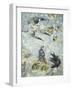 Spain, University of Salamanca, Chariot of Mercury and Virgo Fresco-null-Framed Giclee Print