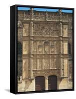 Spain, University of Salamanca, Plateresque Style Door-null-Framed Stretched Canvas