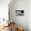 Spain-Maciej Duczynski-Mounted Photographic Print displayed on a wall