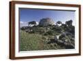 Brown Frame
