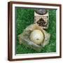 Brown Frame