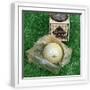 White Frame