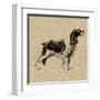 Spaniel-Sabine Berg-Framed Art Print