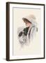 Spaniel-Harrison Fisher-Framed Art Print