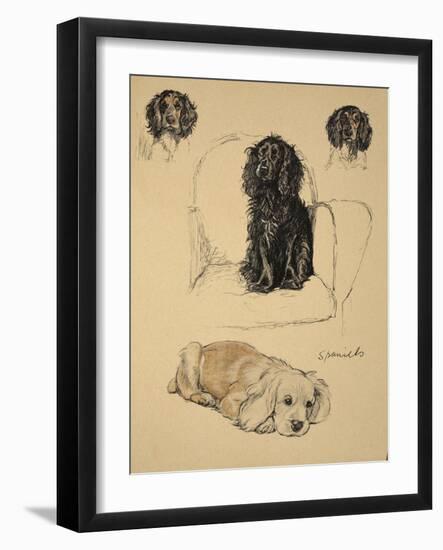 Spaniels, 1930, Just Among Friends, Aldin, Cecil Charles Windsor-Cecil Aldin-Framed Giclee Print