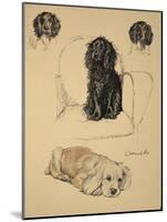 Spaniels, 1930, Just Among Friends, Aldin, Cecil Charles Windsor-Cecil Aldin-Mounted Giclee Print