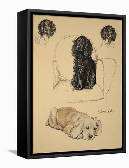 Spaniels, 1930, Just Among Friends, Aldin, Cecil Charles Windsor-Cecil Aldin-Framed Stretched Canvas