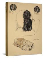 Spaniels, 1930, Just Among Friends, Aldin, Cecil Charles Windsor-Cecil Aldin-Stretched Canvas