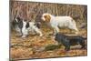 Spaniels (Puertes)-Louis Agassiz Fuertes-Mounted Art Print