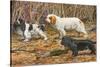 Spaniels (Puertes)-Louis Agassiz Fuertes-Stretched Canvas