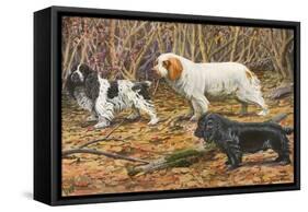 Spaniels (Puertes)-Louis Agassiz Fuertes-Framed Stretched Canvas